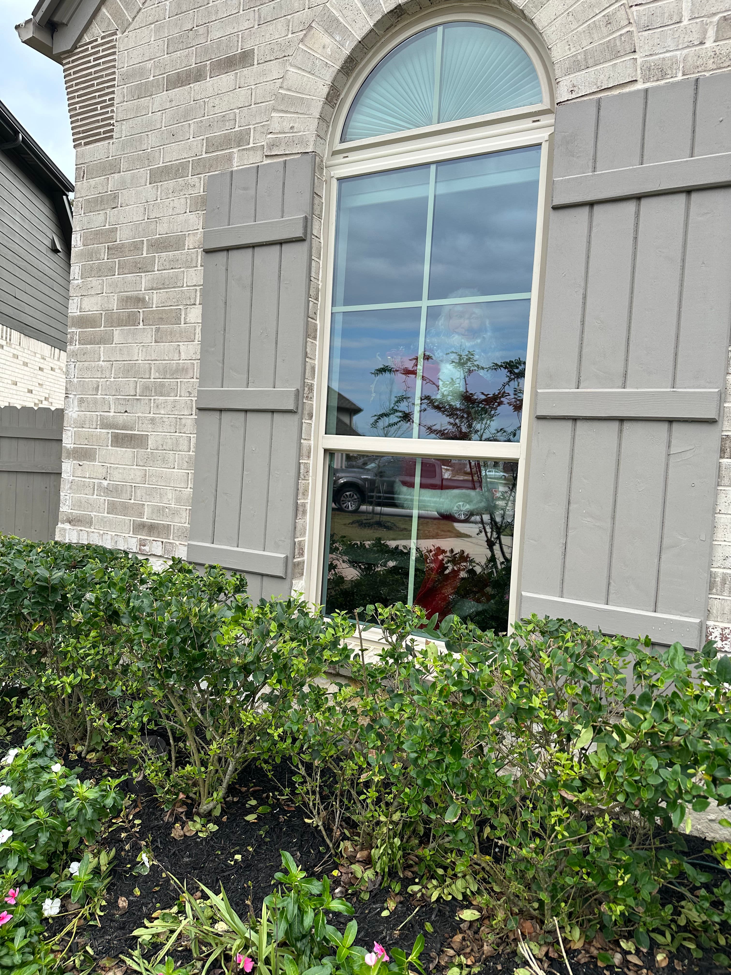 Project Holiday Sparkle in The Woodlands image