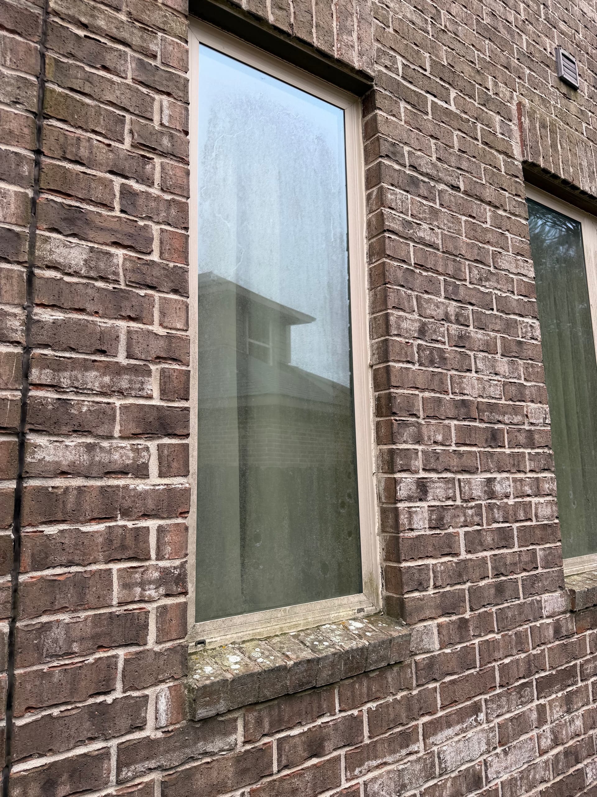 Gallery photos for Before and After Window Cleaning in Conroe Texas: Image #3