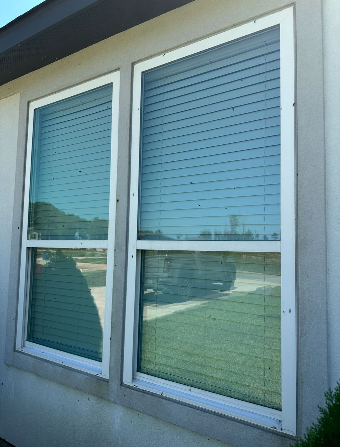 Gallery photos for Gleaming Windows in The Woodlands Makeover: Image #1