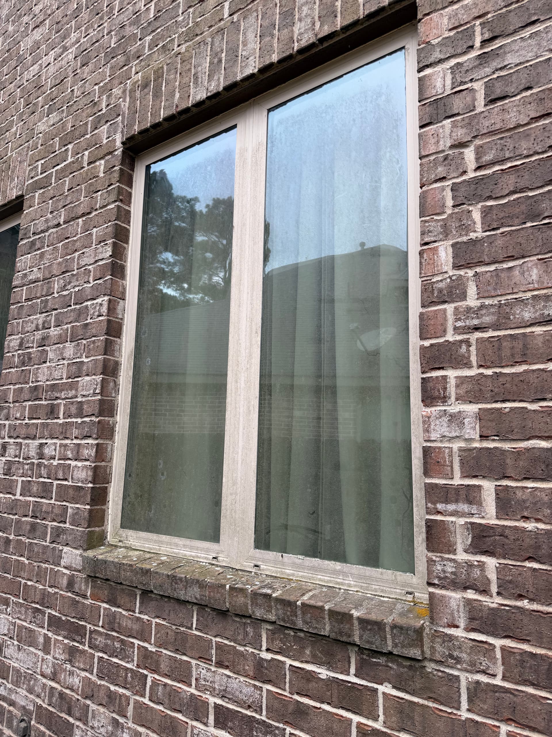 Gallery photos for Before and After Window Cleaning in Conroe Texas: Image #1