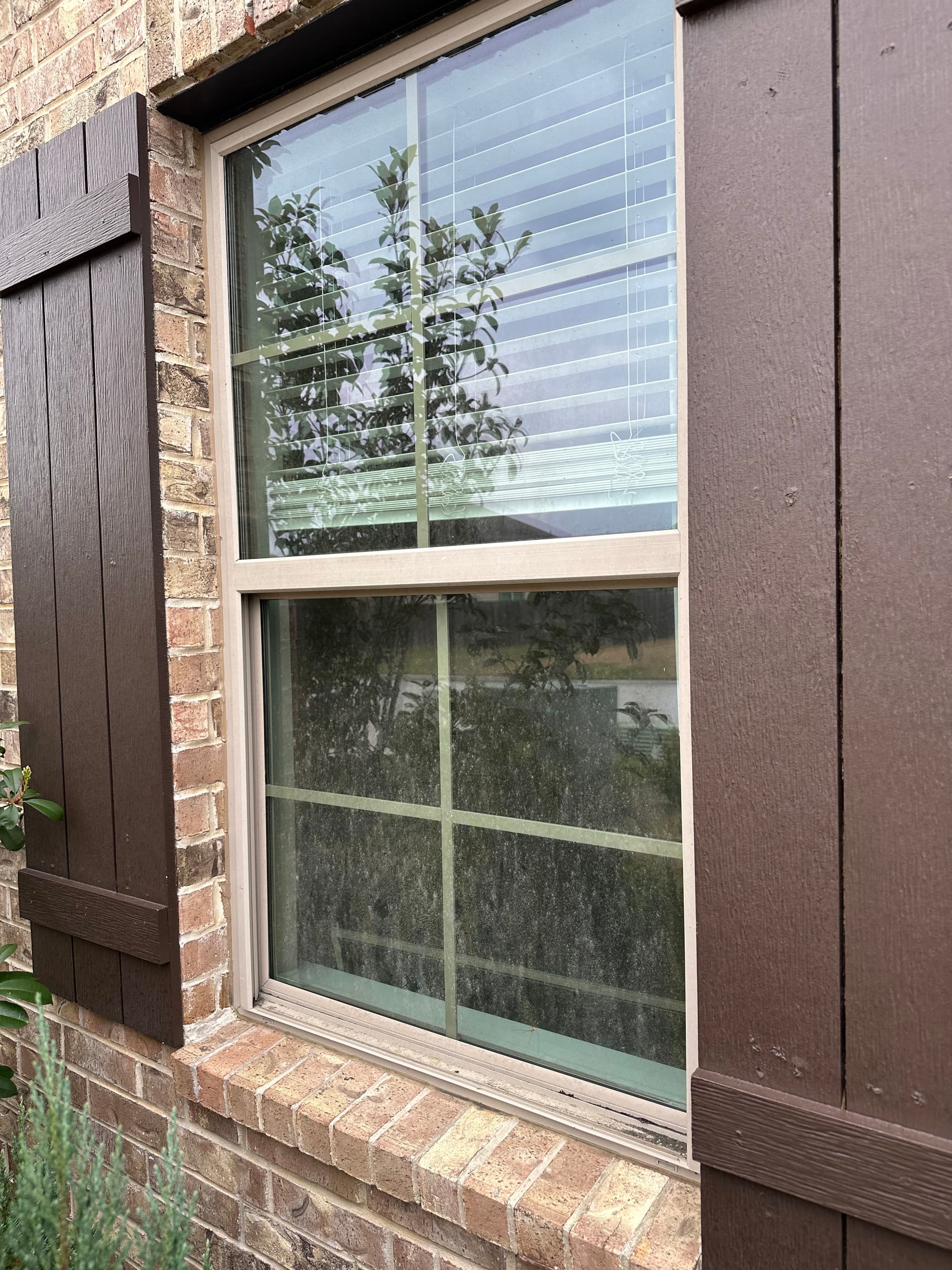 Remarkable Window Transformation for New Tenants