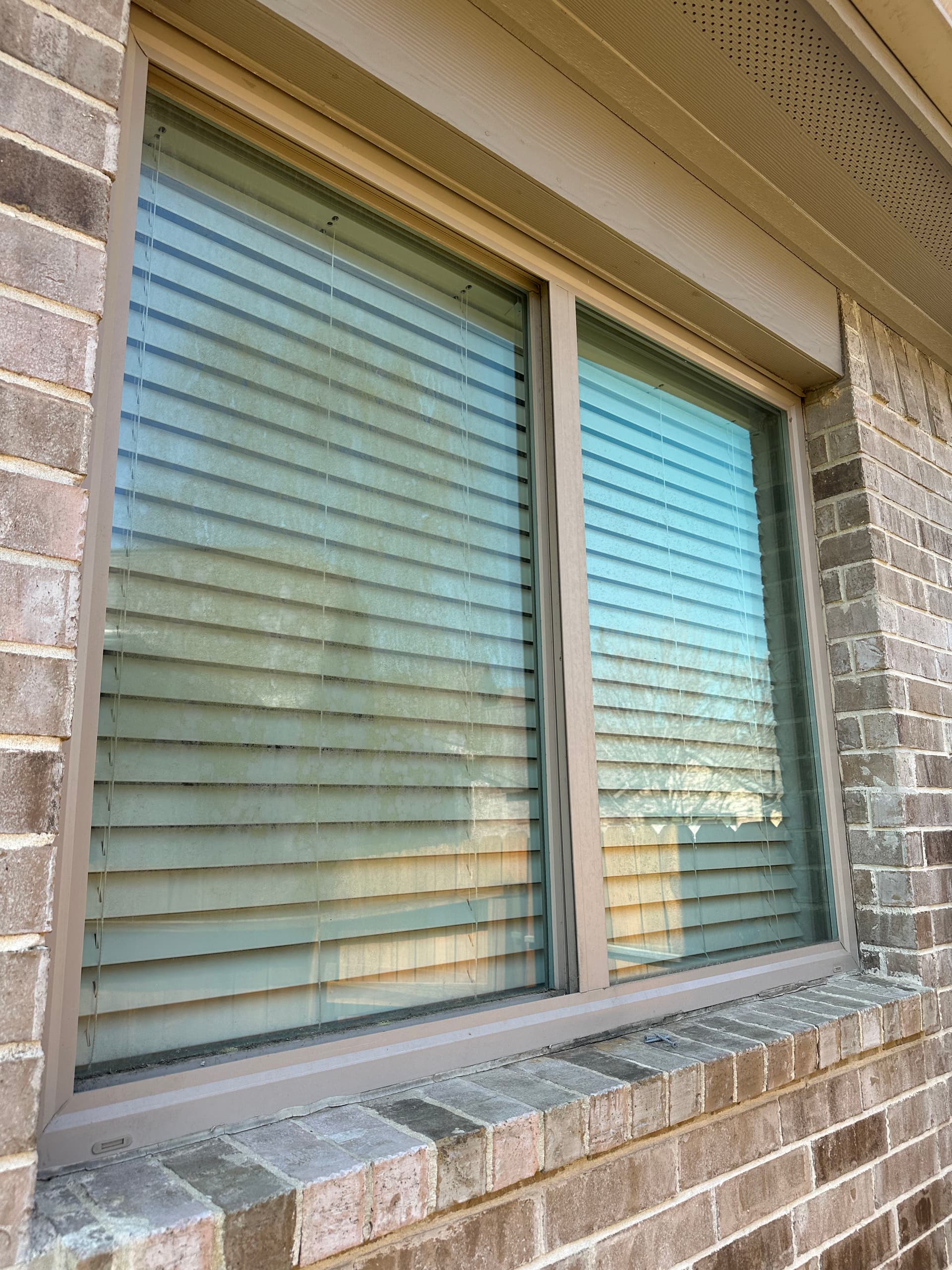 Gallery photos for Crystal-Clear Window Perfection in Conroe Texas: Image #1