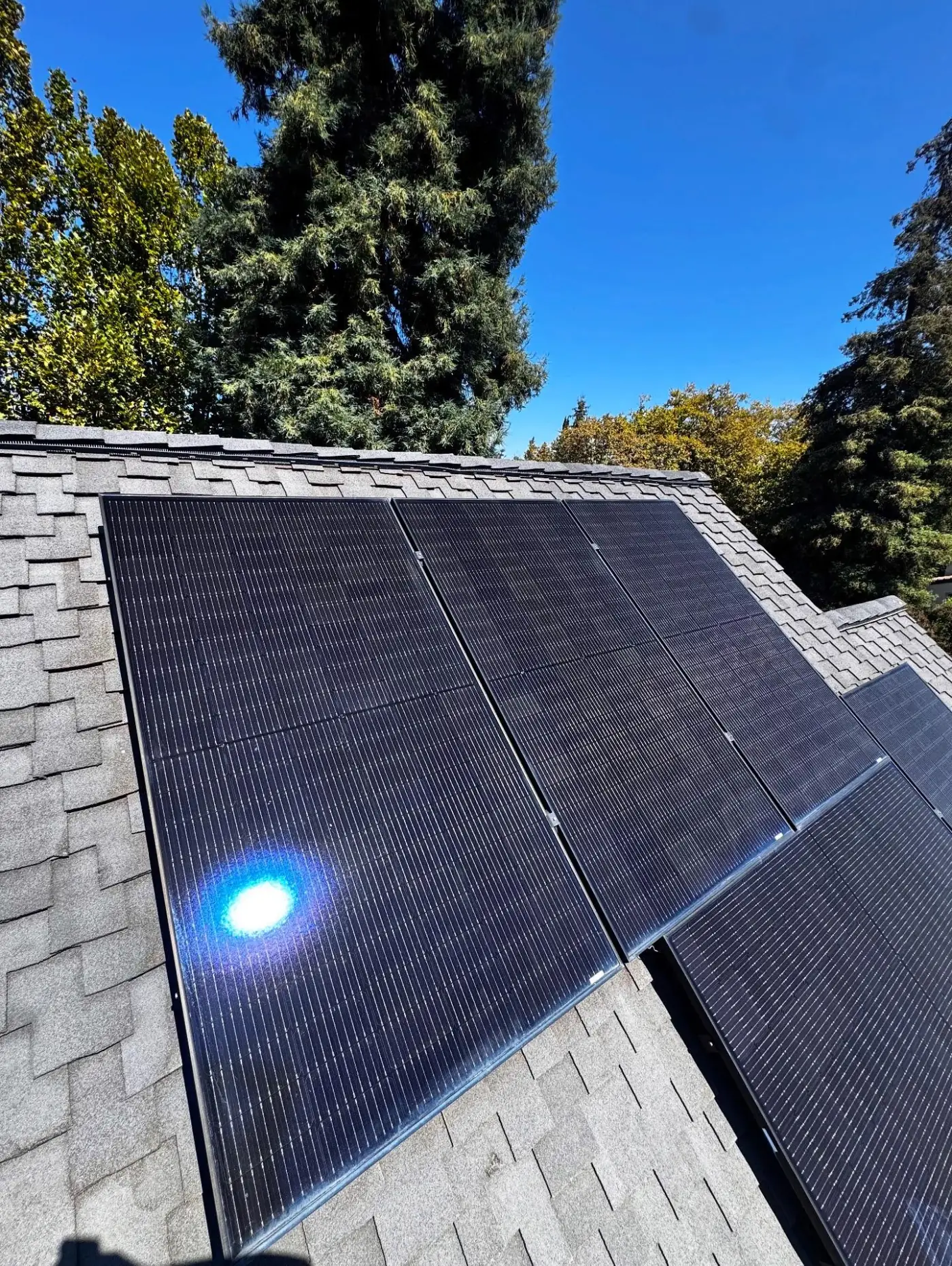 Solar Panel Cleaning service in The Woodlands, TX by Dang Dirty Windows